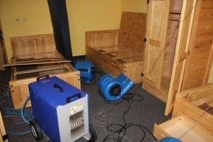 Bedbugs in Kansas City