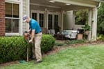 Termite Company Kansas City