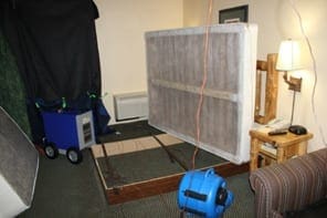 Bed Bug Control KC